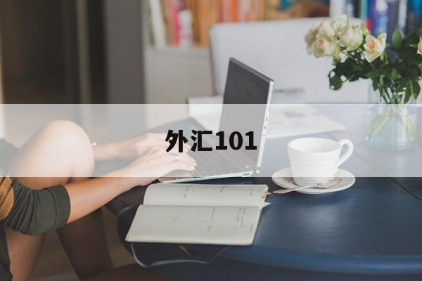 外汇101(外汇110平台官网)